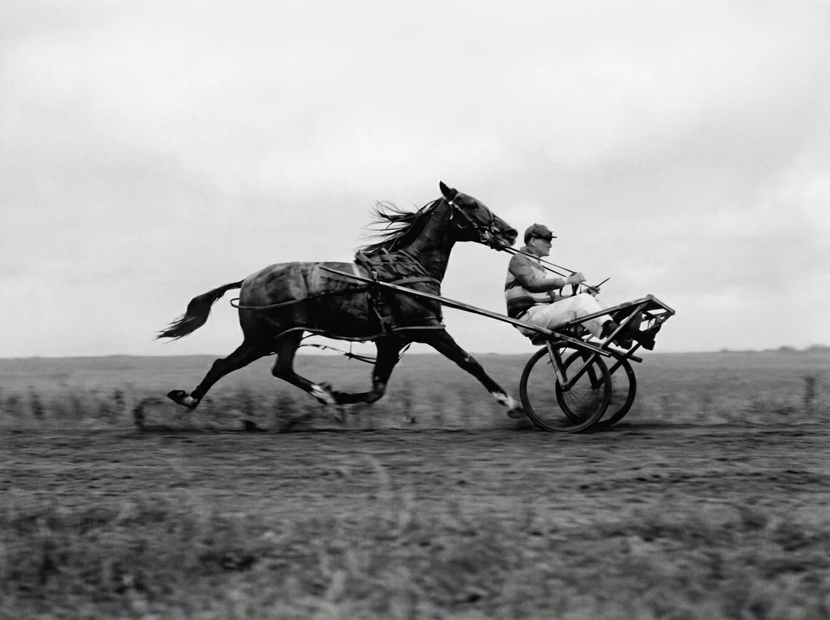 Illustration of a cart placed in front of a horse — visual metaphor for getting the order wrong